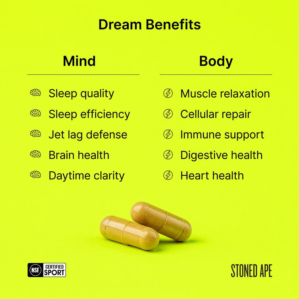 Dream: P.M. Nootropic & Sleep Aid for Recovery