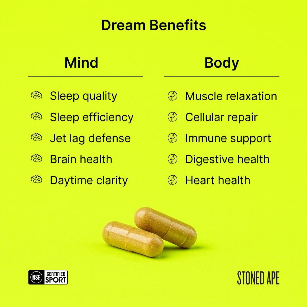 Recovery Bundle (Dream + ZenX)