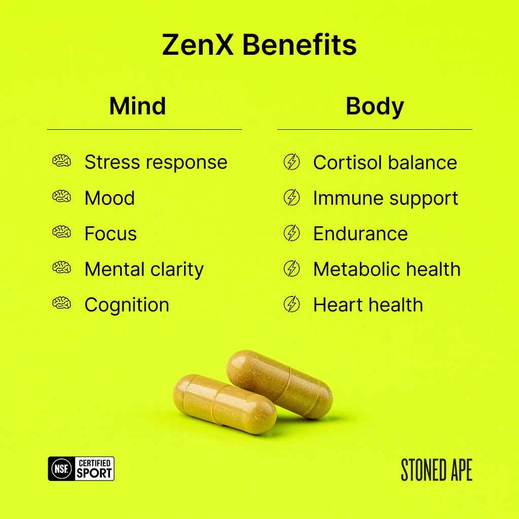 Recovery Bundle (Dream + ZenX)